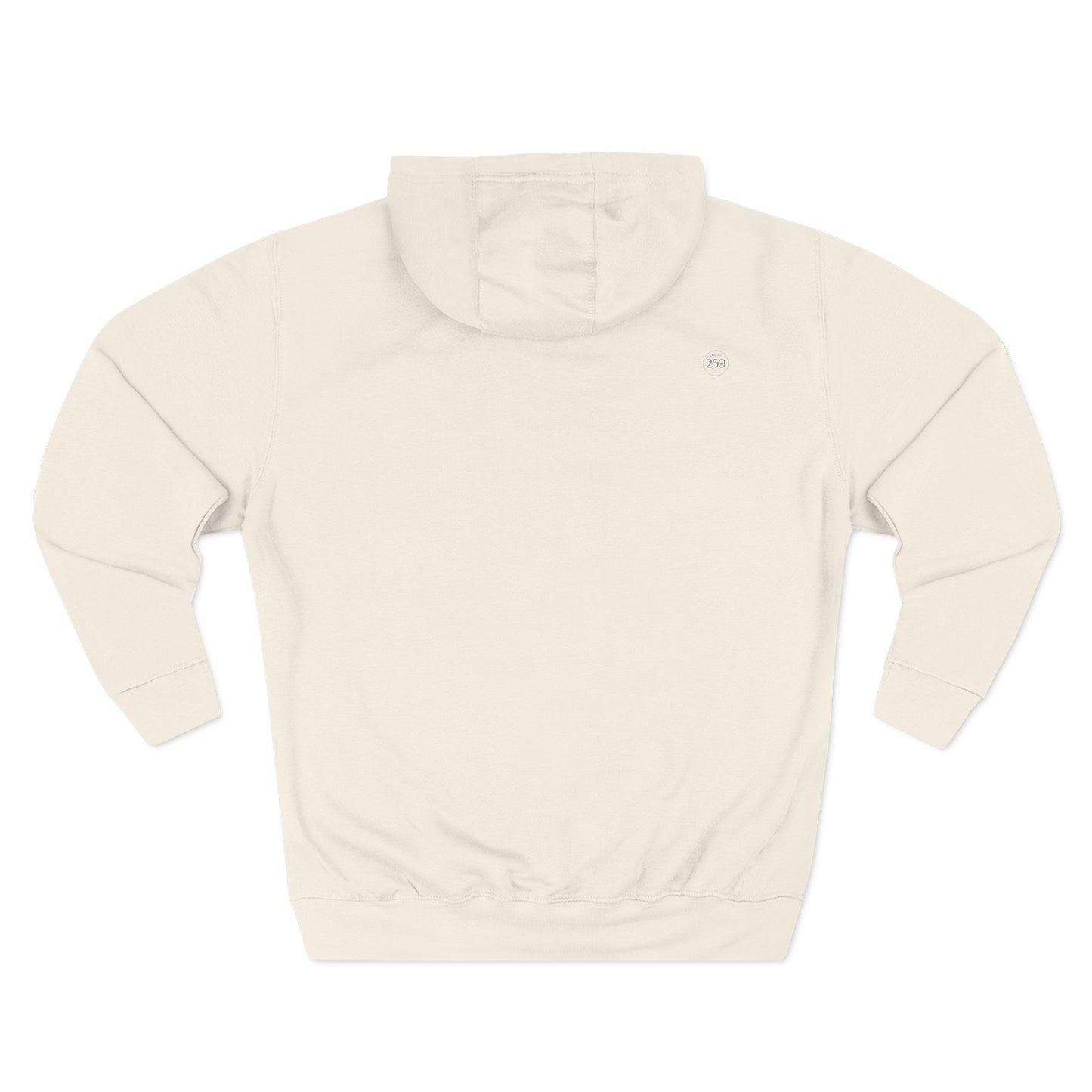 America Est. 1776 Hoodie — US 250