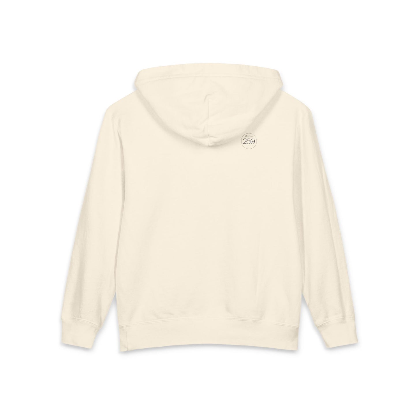 America est. 1776 Youth Hoodie — US 250