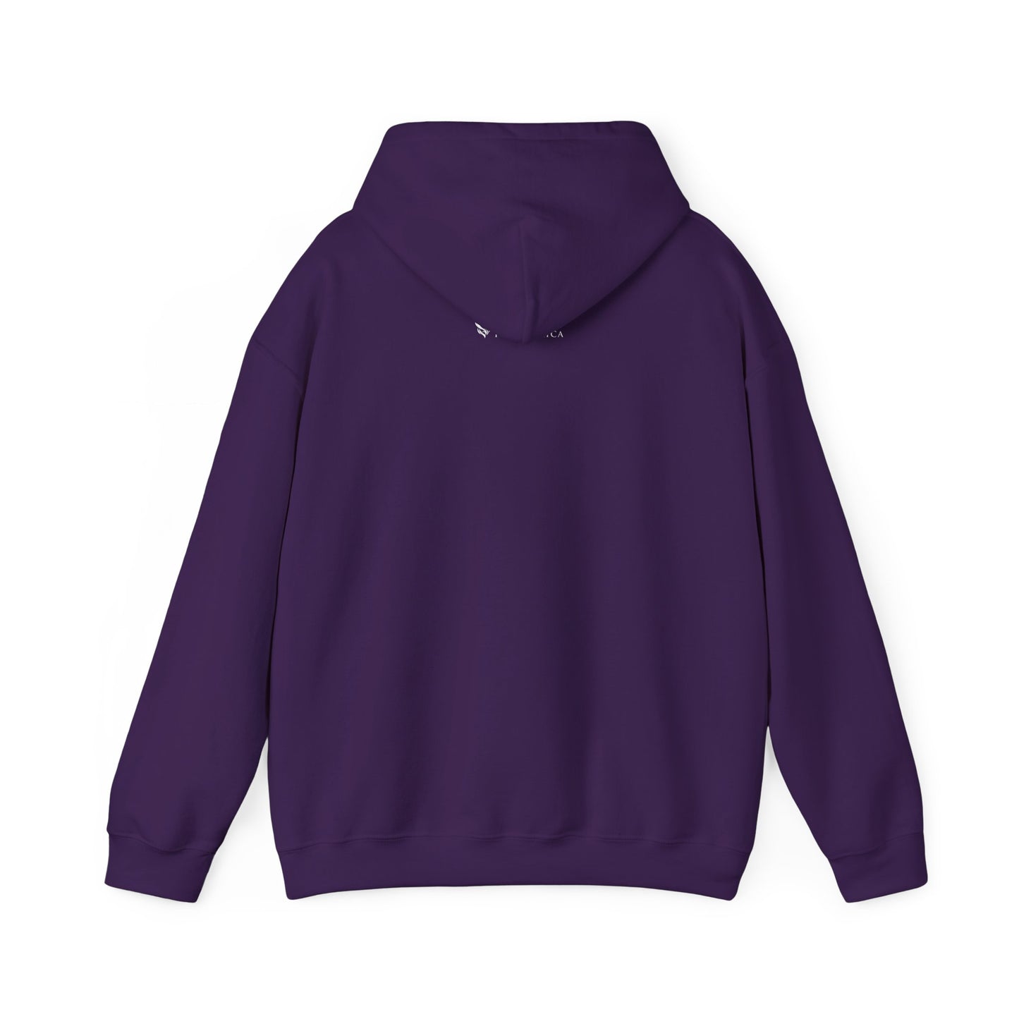 Moms Walkathon Hoodie — MomVote